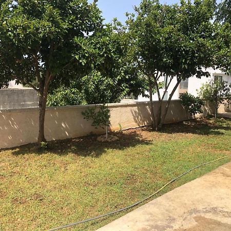 M A Apartments Kozino Exterior photo